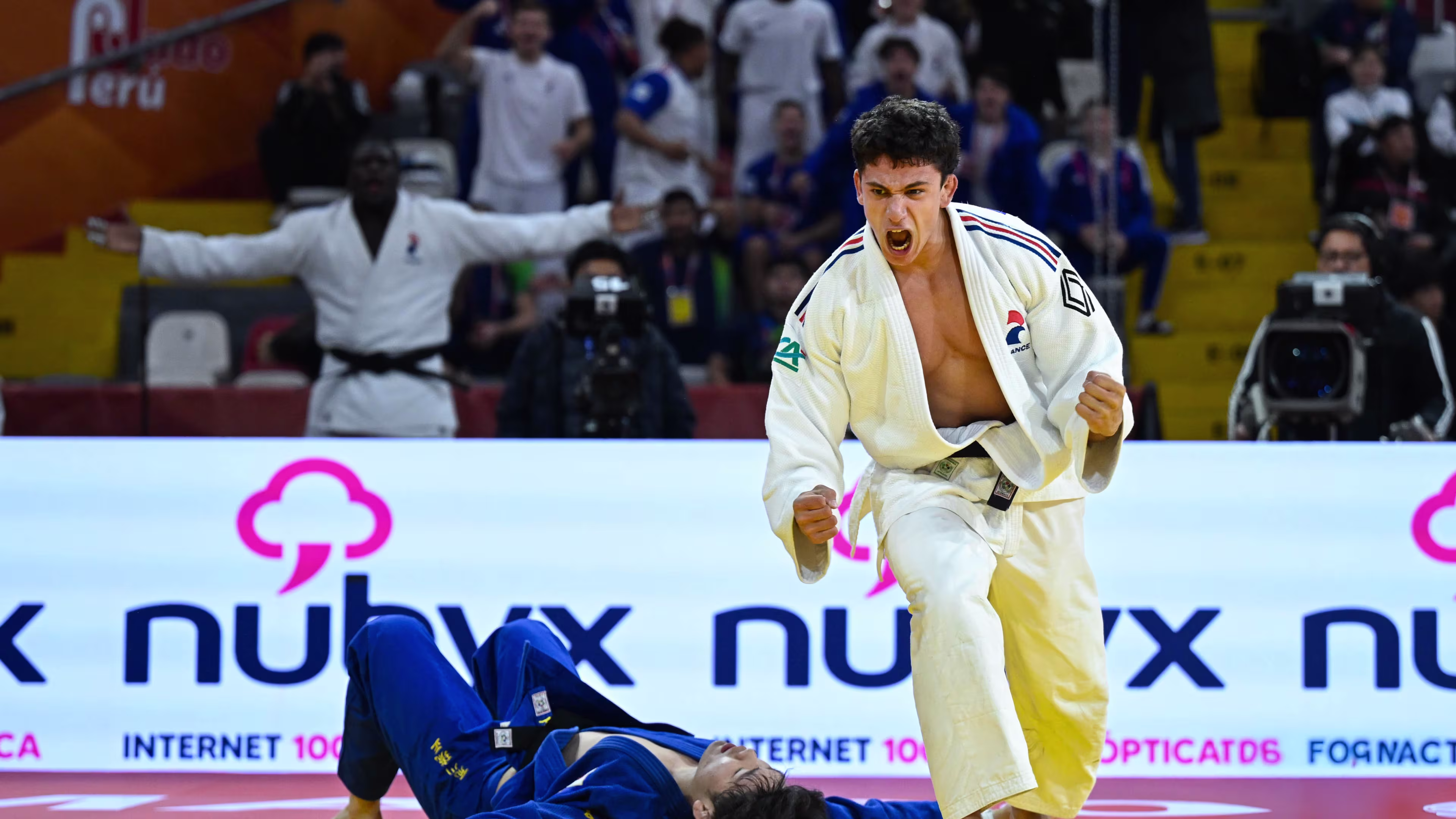 © IJF