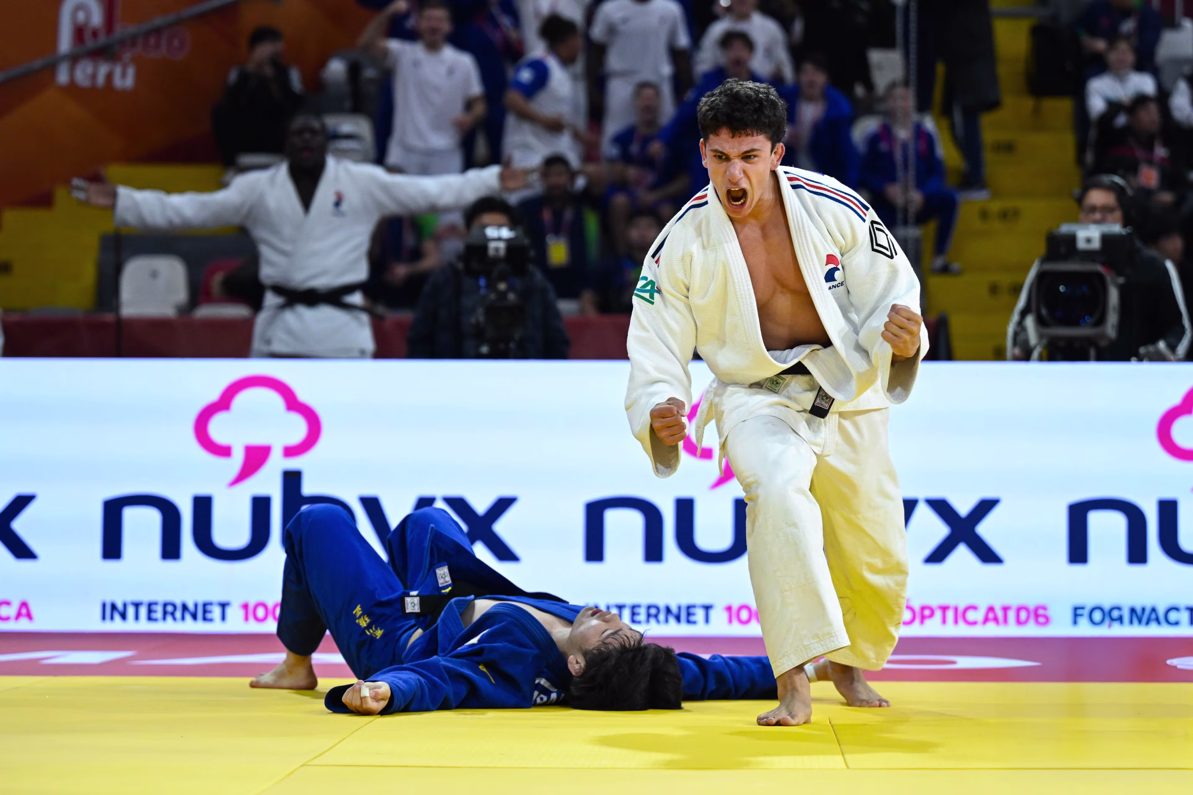 © IJF