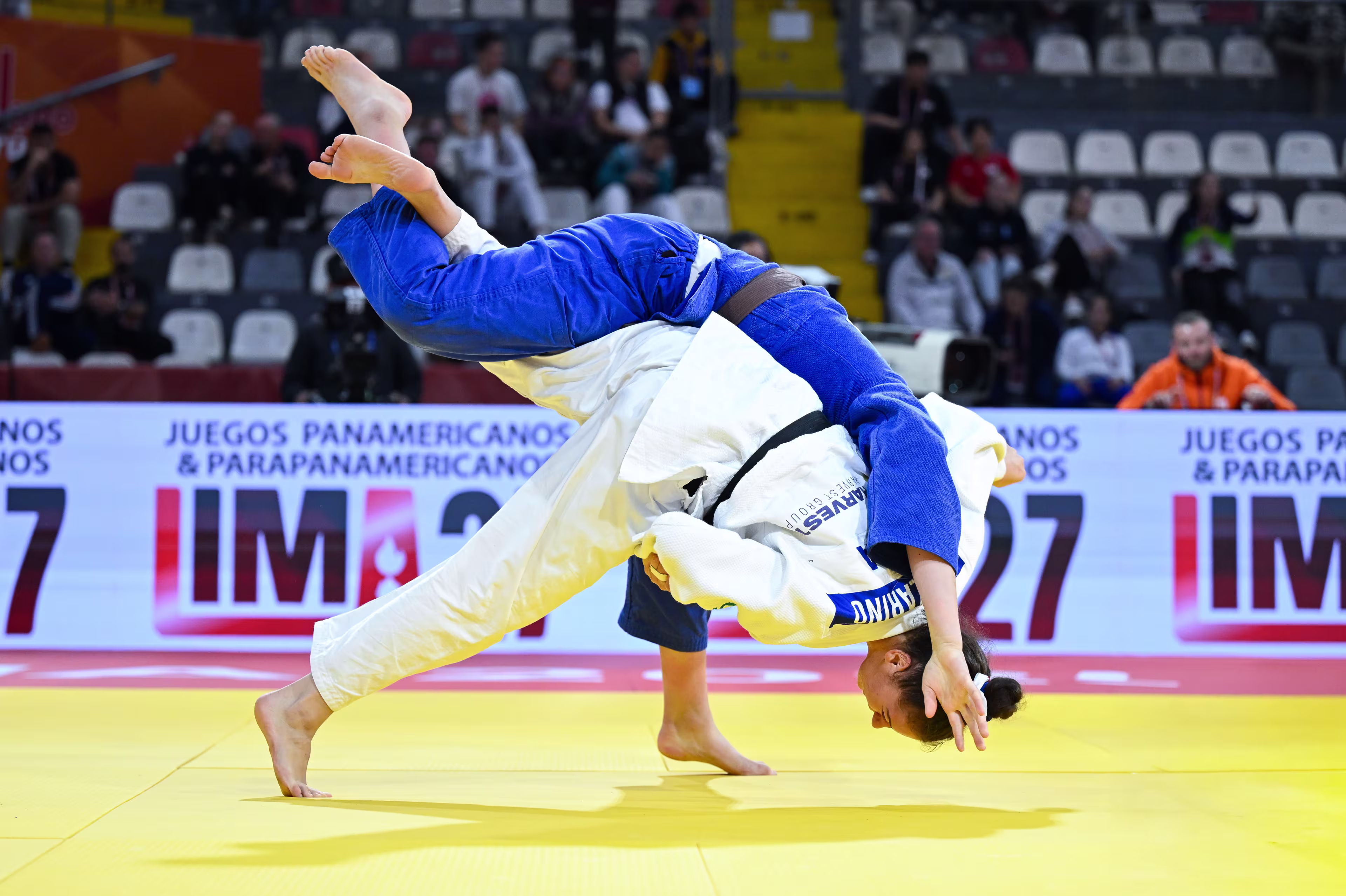 © IJF