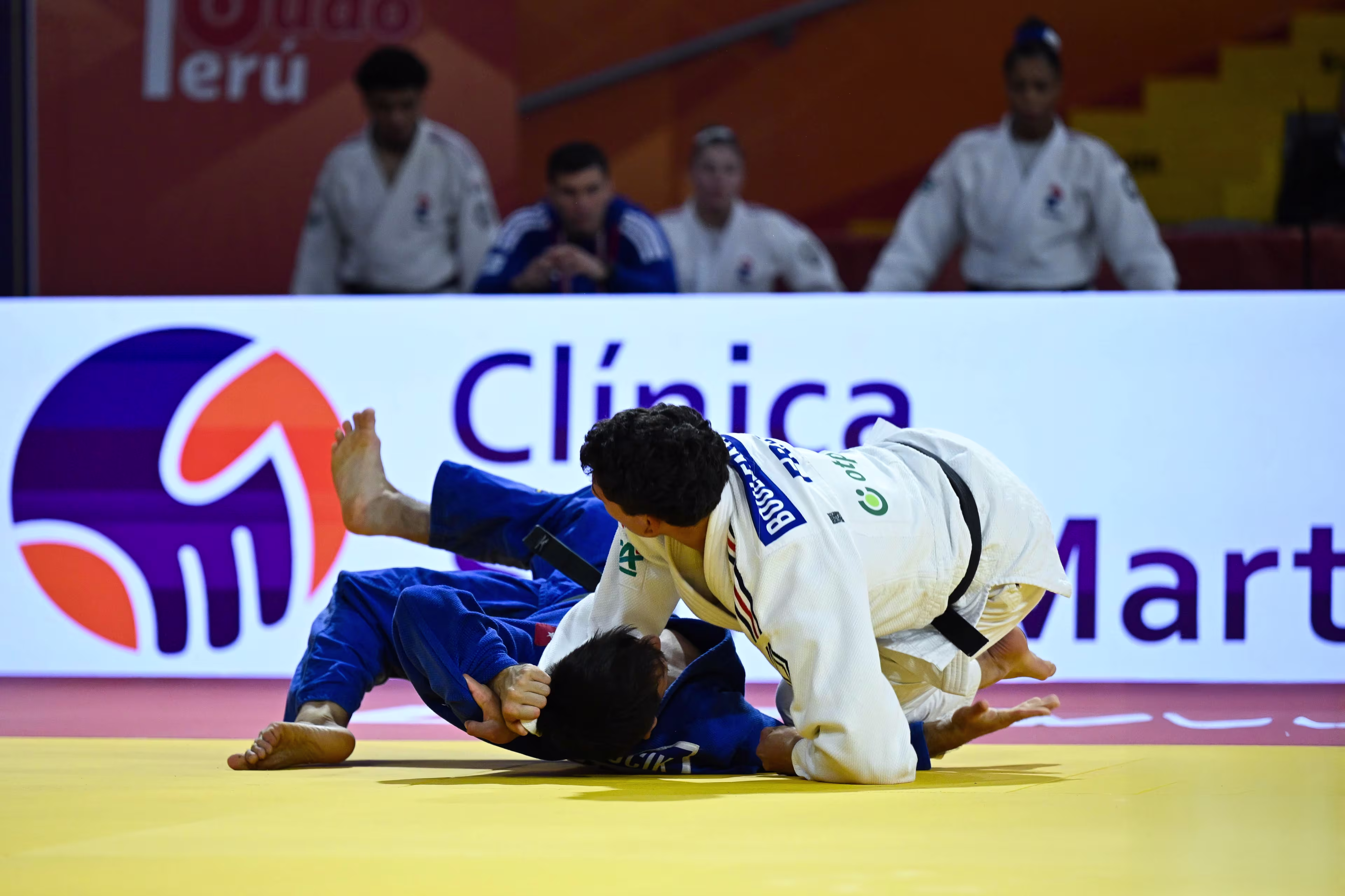 © IJF