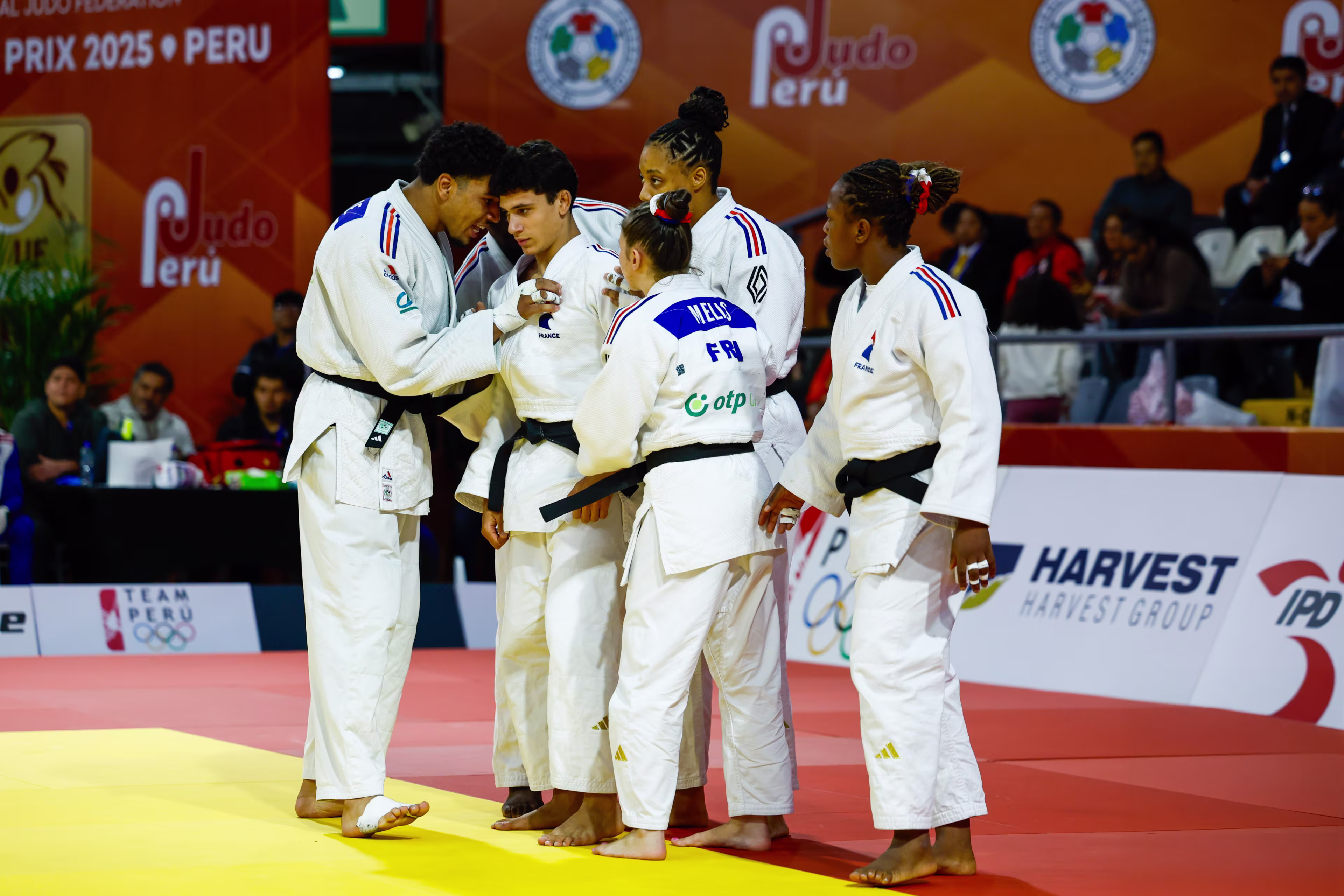 © IJF